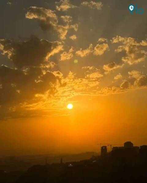 1778534524_1b6d21b22ff35502.webp