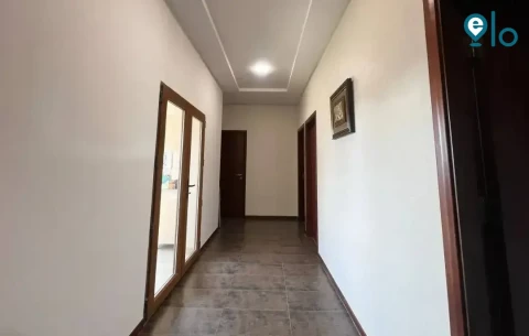 1780534232_db688780c4856e17.webp